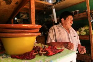 C-075 Celebra Naucalpan el Día Internacional de la Lengua Materna 2