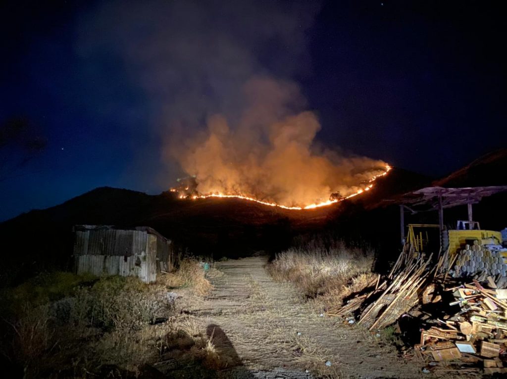 IMG-20210204-WA0007