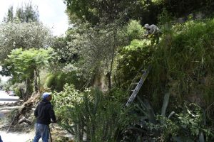 IMG-20220822-WA0062