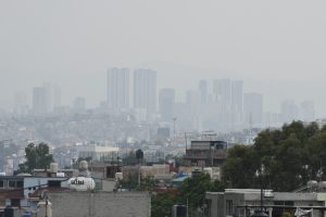 IMG-20240509-WA0113