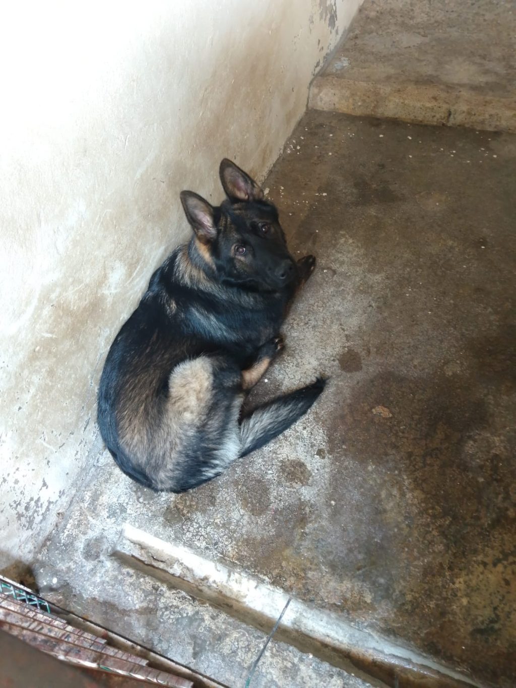 IMG-20250117-WA0083