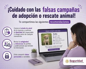 COMUNICADO 285 01